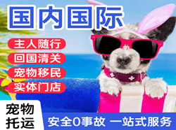 长海机场快递国际宠物托运 【国